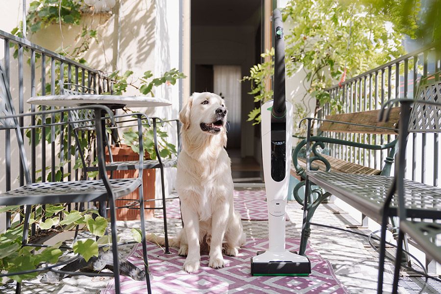 Vorwerk mit Hund